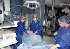 Лапароскопска гинекологична хирургия - първо ниво_49