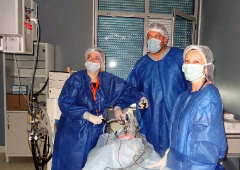 Лапароскопска гинекологична хирургия - първо ниво_59