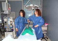 Лапароскопска гинекологична хирургия - първо ниво_19
