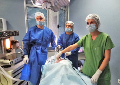 Лапароскопска гинекологична хирургия - първо ниво_38