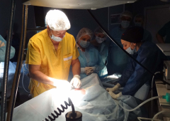 Лапароскопска гинекологична хирургия - първо ниво_27