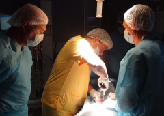 Лапароскопска гинекологична хирургия - първо ниво_30