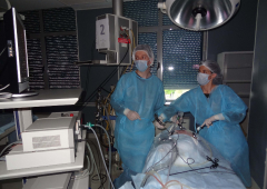 Лапароскопска гинекологична хирургия - първо ниво_48