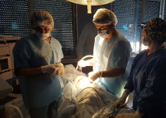 Лапароскопска гинекологична хирургия - първо ниво_25