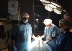 Лапароскопска гинекологична хирургия - първо ниво_28