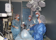 Лапароскопска гинекологична хирургия - първо ниво (29-31 март 2017)