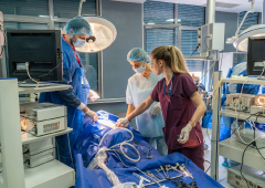 Лапароскопска гинекологична хирургия 1-во ниво (17-18 октомври 2019)_21