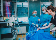 Лапароскопска гинекологична хирургия - първо ниво (30-31 Октомвти 2025)_28