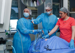 Лапароскопска гинекологична хирургия - първо ниво (26-27 Март 2026)_23