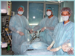 Лапароскопска гинекологична хирургия - първо ниво (10-12 септември 2008)